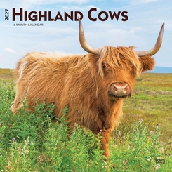 Highland Cows - 2027 - 12x12 inch Calendar - Coming Christmas 2026