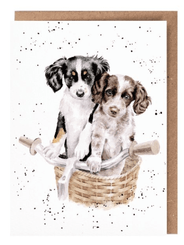 'Paws and Pedals' Card