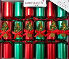 Robin Reed Red and Green Spruce Crackers 6ct - Coming Christmas 2026