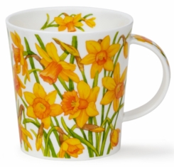 Dunoon Lamond Primavera Narcissus