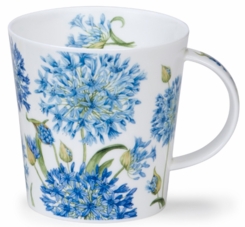 Dunoon Cairngorm Beautiful Blooms Agapanth