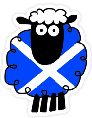 Saltire Sheep Sticker