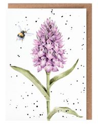 Marsh Orchid Card