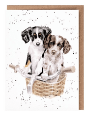 'Paws and Pedals' Card 'Paws and Pedals' Card