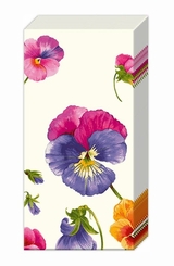 Sniffs Paulina Cream Hankie - Coming Soon