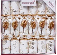 Robin Reed Christmas Carol Crackers 6ct - Coming Christmas 2026
