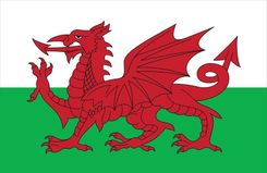 Samuel Lamont The Welsh Dragon Tea Towel