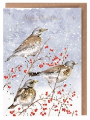 'Winter Visitors' Card - Coming Soon