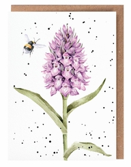 �Marsh Orchid� Card