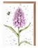 ‘Marsh Orchid’ Card ‘Marsh Orchid’ Card
