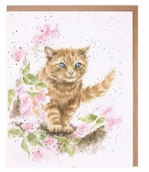 �The Marmalade Cat� Card