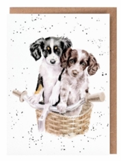 'Paws and Pedals' Card 'Paws and Pedals' Card