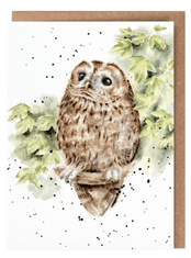 'Treetops' Card sold out 'Treetops' Card sold out