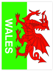 Wales Dragon Flag Sticker - Sold Out