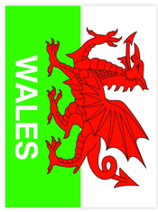 Wales Dragon Flag Sticker - Sold Out