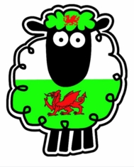 Wales Sheep Sticker - Sold Out