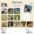 Welsh Corgis - 2027 - 12x12 inch Calendar - Coming Christmas 2027 Welsh Corgis - 2027 - 12x12 inch Calendar - Coming Christmas 2027