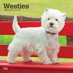 Westies Highland White Terriers - 2027 - 12x12 inch Calendar - Coming Christmas 2026
