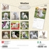 Westies Highland White Terriers - 2027 - 12x12 inch Calendar - Coming Christmas 2026