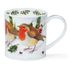 Dunoon Orkney Festive Birds Robin - Coming Soon Dunoon Orkney Festive Birds Robin - Coming Soon