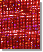 Brick Holo Met Stretch      