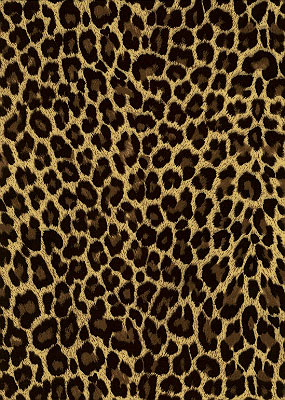 G/B Cougar Chiffon - 15 yd Piece
