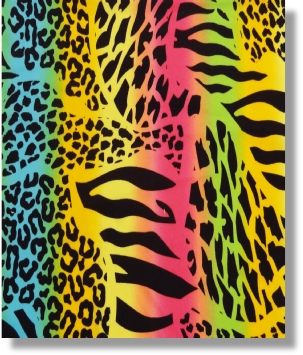 Jungle Rainbow Stretch     