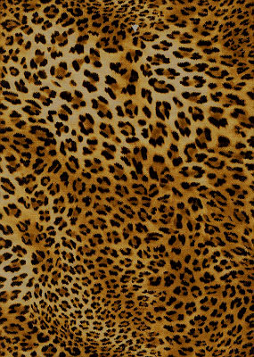 Leopard Chiffon - 15 yd Piece