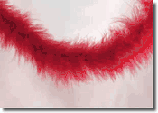Marabou