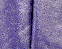 Mini Microdot Stretch