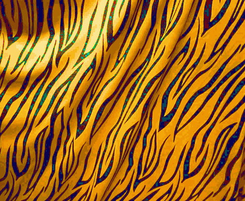 Tiger Stretch