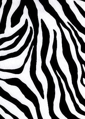 Zebra Chiffon - 15 yd Piece