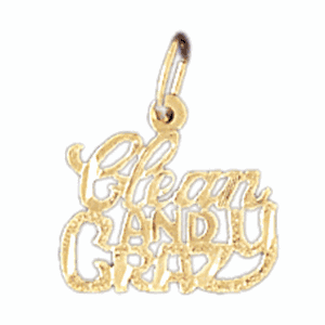 14K Gold Clean And Crazy Saying Charm-Daz-10686