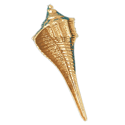 Conch Shell Gold Charm DAZ-280