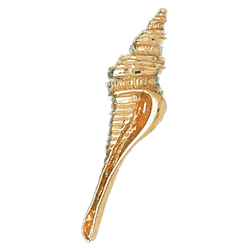 Conch Shell Gold Charm DAZ-286