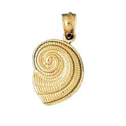 Nautilis Shell Gold Charm DAZ-324