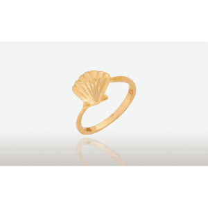 Scallop Ring - 14K Yellow Gold Size 7