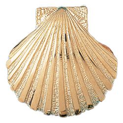 Shell Gold Charm DAZ-17