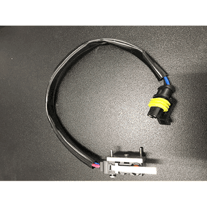 Switch, End Stop Position For Sr80 And Sr100 Models - Sm62302