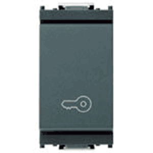 Switch: Momentary, 1p1t (no), 10a, Key Symbol, Grey, Idea *surcharge May Apply If Buying <20* - Vm16080.p