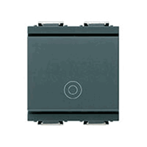 Switch: Momentary,1p1t (no)10a Rdcd Mod 2m Gen Symbol Grey Id - Vm17010.g