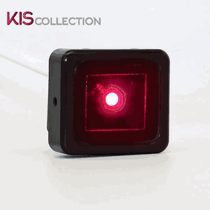 Weems Plath KIS Multi-Purpose Light with Red LED and Black Housing