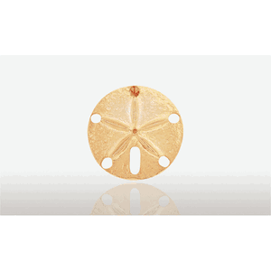XLarge Sand Dollar Slide Pendant - 14K Gold