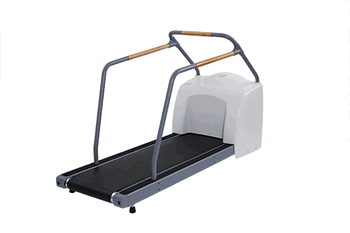 GE Series T-2100 Treadmill