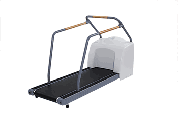 GE Series T2100 Treadmill