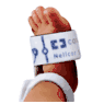 Nellcor Preemie SpO&#8322; Sensor Nonadhesive