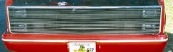 C25  Phantom Billet Grille Insert 1981 - 1987 : T-Rex 20010