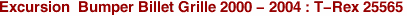 Excursion  Bumper Billet Grille 2000 - 2004 : T-Rex 25565