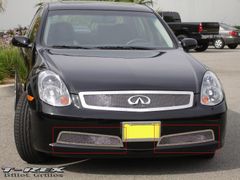 G-35  Mesh Grille 2005 - 2006 : T-Rex 55799