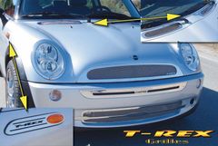 Mini Cooper S  Mesh Grille 2005 - 2007 : T-Rex 54991